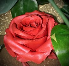 Load image into Gallery viewer, Rose Blush