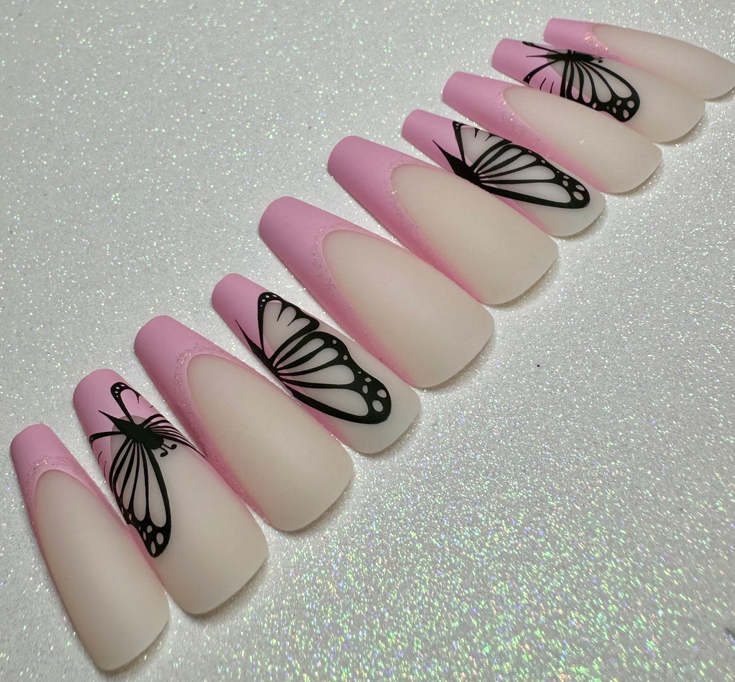 Pink Frenchie Adult Caterpillars